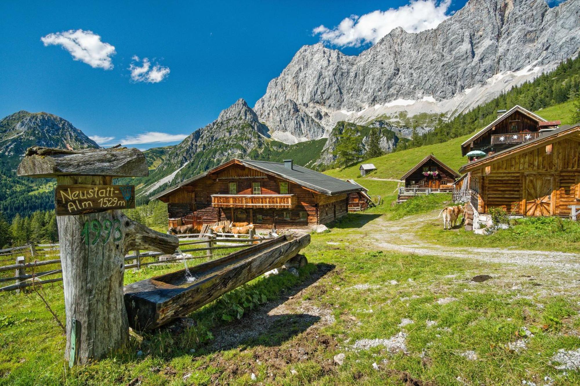 Pension Stoffenbauer Ramsau am Dachstein Ngoại thất bức ảnh