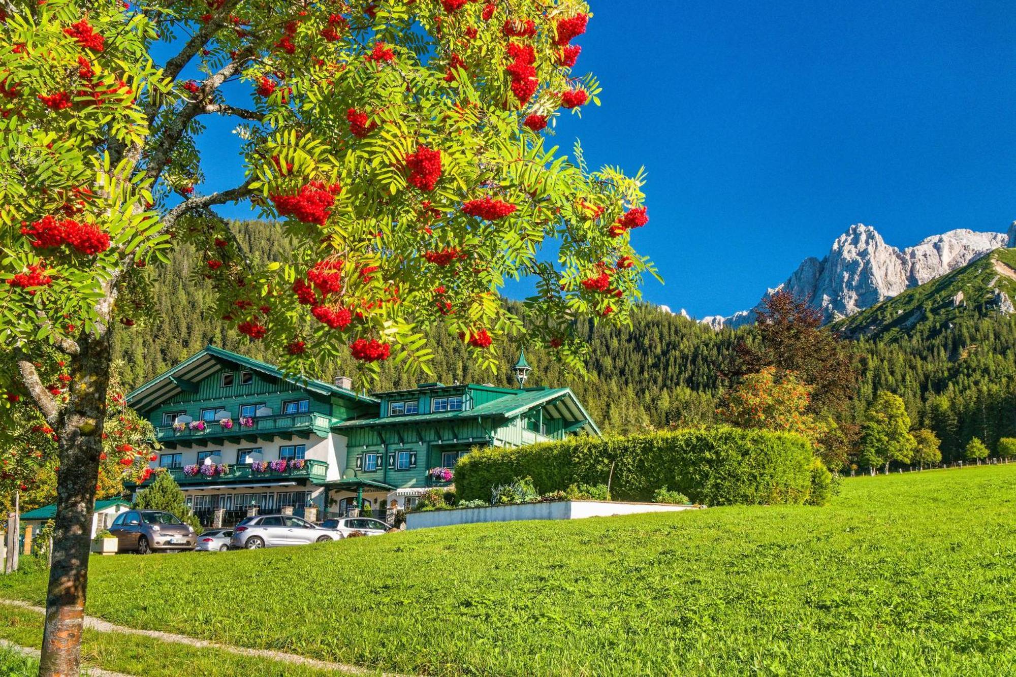 Pension Stoffenbauer Ramsau am Dachstein Ngoại thất bức ảnh