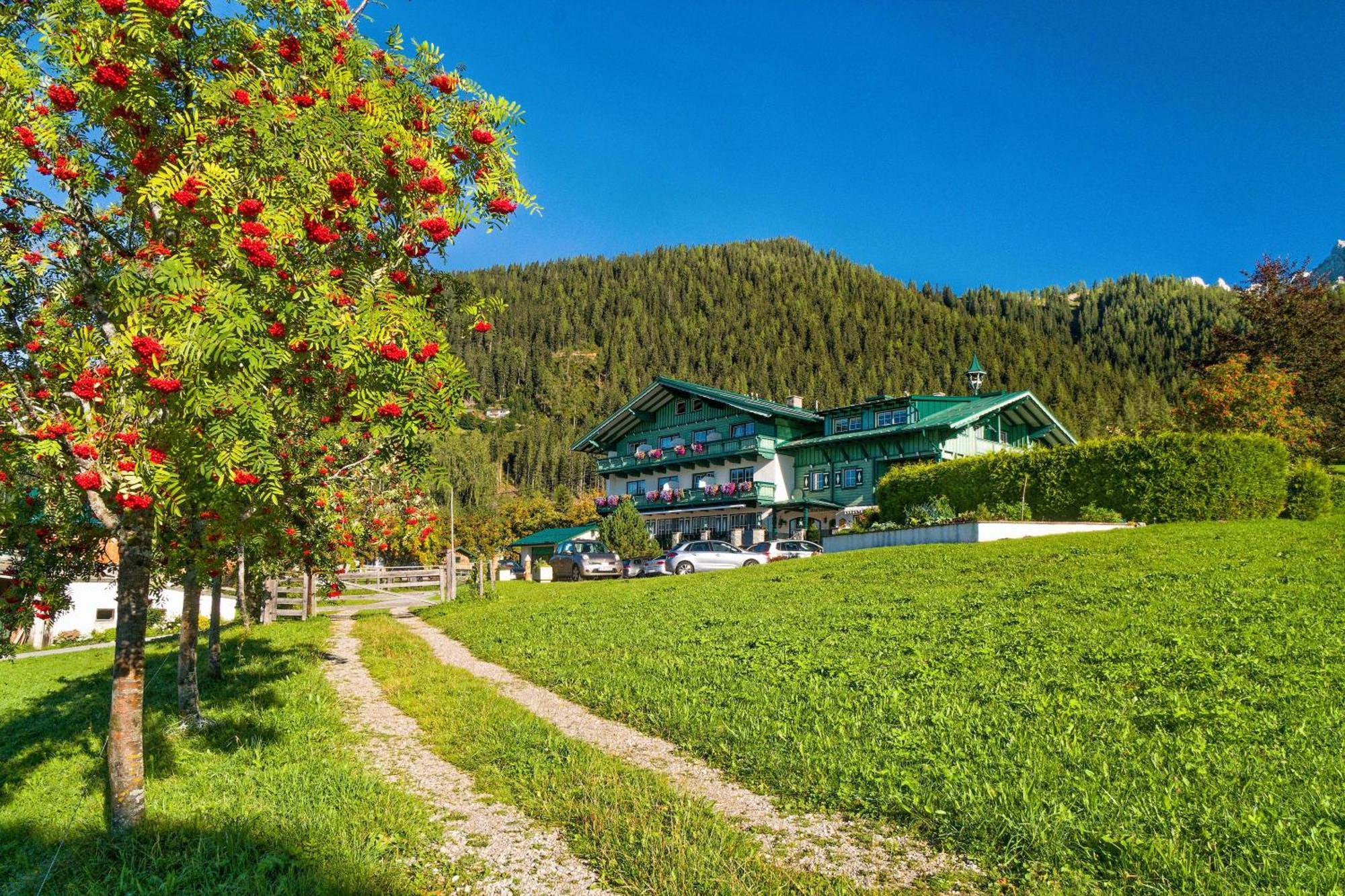 Pension Stoffenbauer Ramsau am Dachstein Ngoại thất bức ảnh